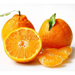 移动专享： 蔬农联 不知火丑柑 丑橘 3斤 *3件 29.7元包邮（需用券）