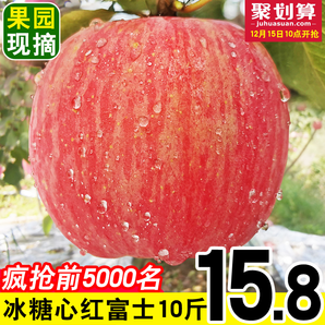 红富士苹果水果新鲜 整箱10斤包邮 