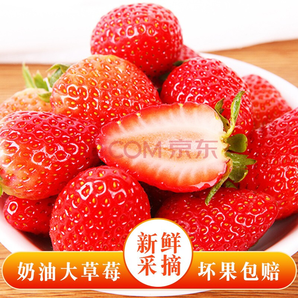移动专享： DANGNINGGUOPIN 砀宁果品 红颜草莓 大果 净重4斤 48.9元包邮（双重优惠）