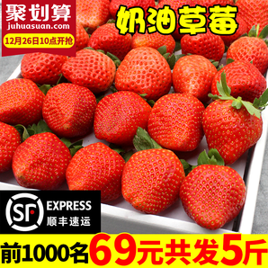 10点开始：净态 新鲜红颜奶油草莓 优果5斤装 69元包邮（前1000件）