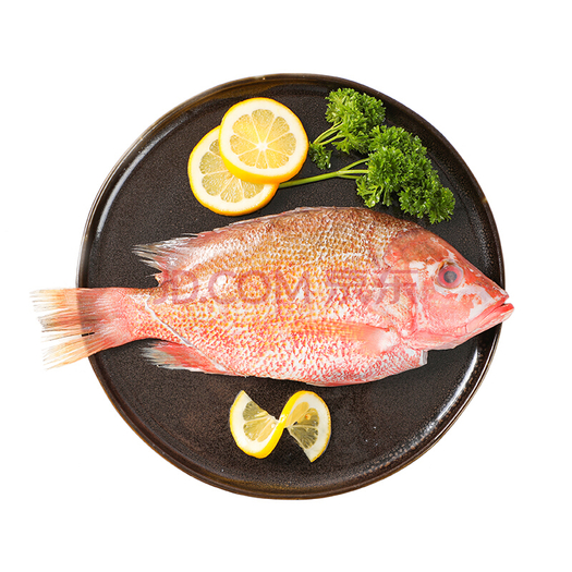 领鲜派三去海红鱼500600g鲈鱼柳140200g