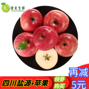 橙禾生鲜 四川大凉山盐源糖心苹果 丑苹果 5斤装 19.9元（需用券）
