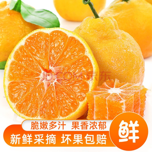顺丰包邮 不知火丑橘丑八怪橘子精选5斤大果29.9元