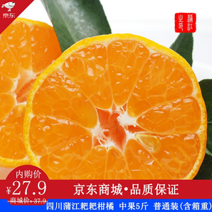 四川蒲江耙耙柑橘年货水果礼盒 5斤 