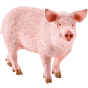 Schleich 思乐 13782 农场动物玩具 猪