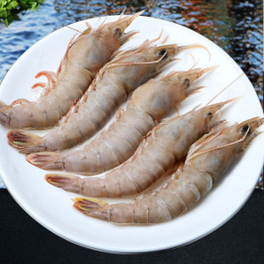 青岛野生海捕大虾 净重2.8斤 单只约8-11cm 