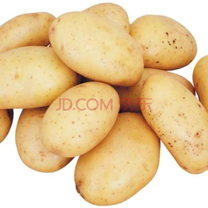 新鲜大土豆 农家自种蔬菜 应季土豆农产品马铃薯洋芋 带箱10斤装
