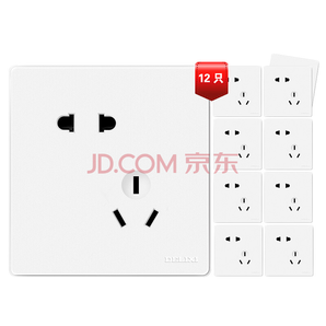 德力西(DELIXI)开关插座面板 CD821系列 10A斜五孔插座12只装 时尚白纯平大板