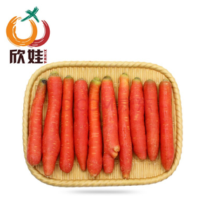 欣娃 陕西大荔沙地水果红萝卜 9斤装 21.9元（需用券）