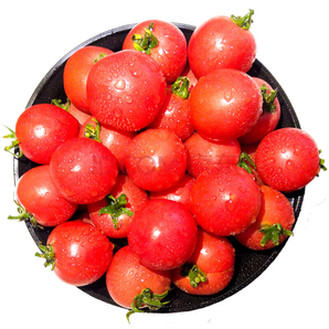 NANGUOXIANSHENG 千禧圣女果小西红柿 净重约2.3-2.5kg 29.6元包邮（需用券）