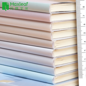 Maxleaf 玛丽 胶套笔记本 A5/64张 5本装 10.75元包邮（需用券）