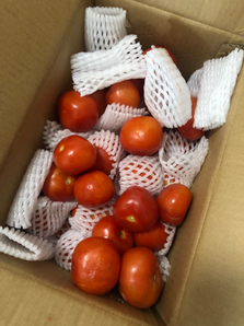助农产品！王小二 攀枝花普罗旺斯西红柿新鲜自然熟9斤