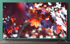 长虹 55A8U液晶电视机55英寸超薄全面屏4k高清智能网络wifi电视
