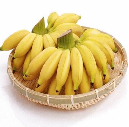广西小米蕉 糯米蕉 青香蕉 2斤装