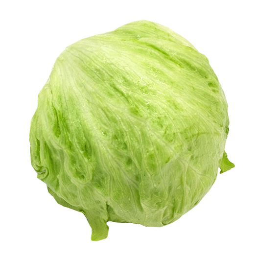 脆嫩爽口绿行者球生菜西生菜5斤