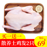 肌肉熊武土鸡生鲜老母鸡约3斤/只