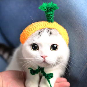 MIXIN 密心 可爱猫咪变装帽子 7.9元包邮（需用券）