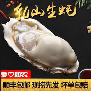 乳山牡蛎鲜活生蚝新鲜即食大海蛎子带壳海鲜水产5斤 