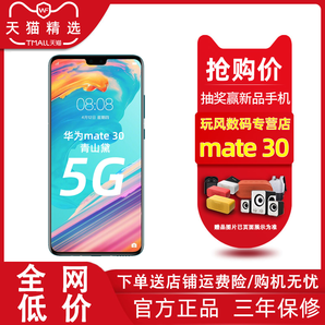 荣耀/华为Mate 30 (5G)麒麟990智能手机