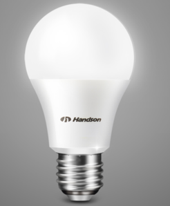 汉德森 led灯泡大功率光源节能灯泡 12W 买一送一