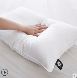 Nan ji ren/南极人 枕芯 单个装 白色 9.9元