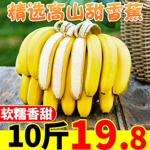 高山香蕉新鲜10斤