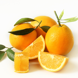 轩圃 伦晚橙子秭归脐橙3斤试吃装60-65mm
