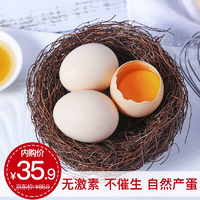 内黄馆 果大班  新鲜鸡蛋30枚