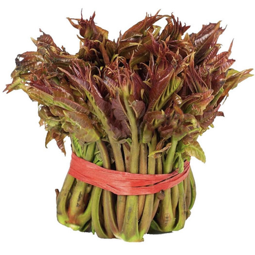 柯小二新鲜红香椿芽3斤268元包邮