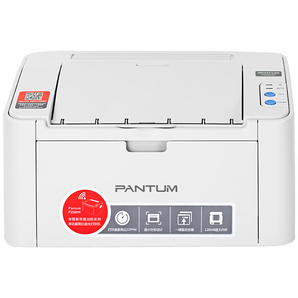 1日0点： PANTUM 奔图 P2206 黑白激光打印机 519元包邮