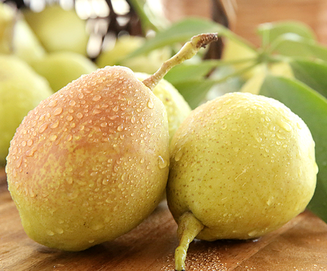 新疆阿克苏 库尔勒香梨5斤装 单果60g-80g左右