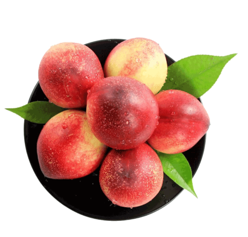 新鲜现摘露天白肉油桃带箱25斤