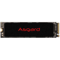 Asgard 阿斯加特 AN2系列-极速版 M.2 NVMe 固态硬盘 500GB  