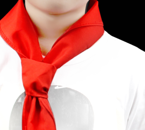 22日0点！佳美佳 小学生棉质红领巾 1.2米 5条
