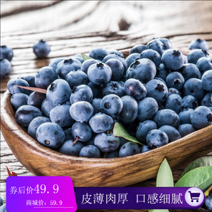 新鲜蓝莓鲜果 蓝梅 4盒  每盒125克