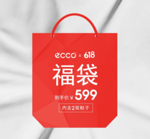 1日0点！ECCO 爱步 女鞋福袋(2双鞋款） 599元包邮