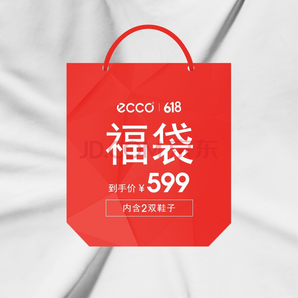 16日0点 ： ECCO 爱步 男鞋 599元限量福袋（内含2双鞋） 599元