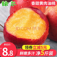 新鲜黄肉油桃5斤装 8.8元