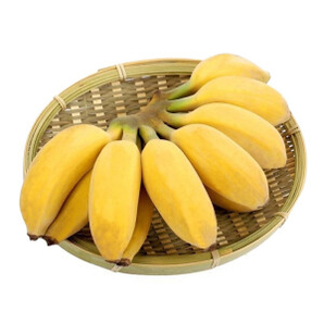 黔食荟 北纬22°蜜 小米蕉香蕉 9斤装