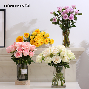 FlowerPlus 花加 云南水培玫瑰花 20支（不含花瓶） 29.9元包邮