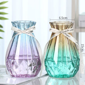 卡汐沐 简约创意玻璃花瓶 2个