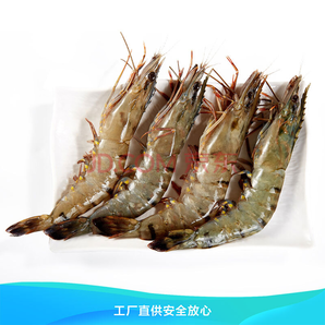 信豚 活冻黑虎虾（大号） 400g/盒 