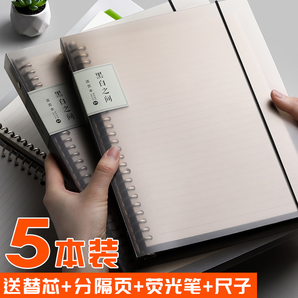 白金丽人 B5横线款笔记本 白色 1本装 送4张分隔页+1把活页尺+1支荧光笔 
