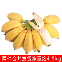 广西香蕉  小米蕉净重约5kg