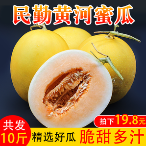 知鲜岛 哈密瓜9-10斤