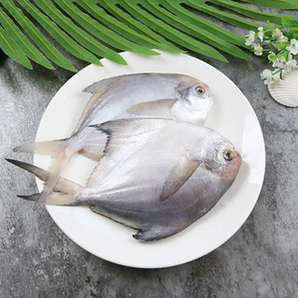 一锅海鲜  冷冻小银鲳鱼 5斤装（60条尝鲜装）