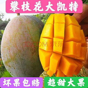 企橙 攀枝花凯特芒果 9斤 24.8元包邮（多重优惠）