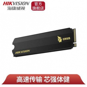 13日0点：HIKVISION 海康威视 Q2000 M.2 NVMe 固态硬盘 500GB