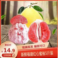 红心肉柚子梅州蜜柚 新鲜水果带箱5斤