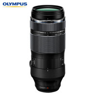 OLYMPUS 奥林巴斯 M.Zuiko Digital ED 100-400mm F5.0-6.3 IS 超长焦变焦镜头